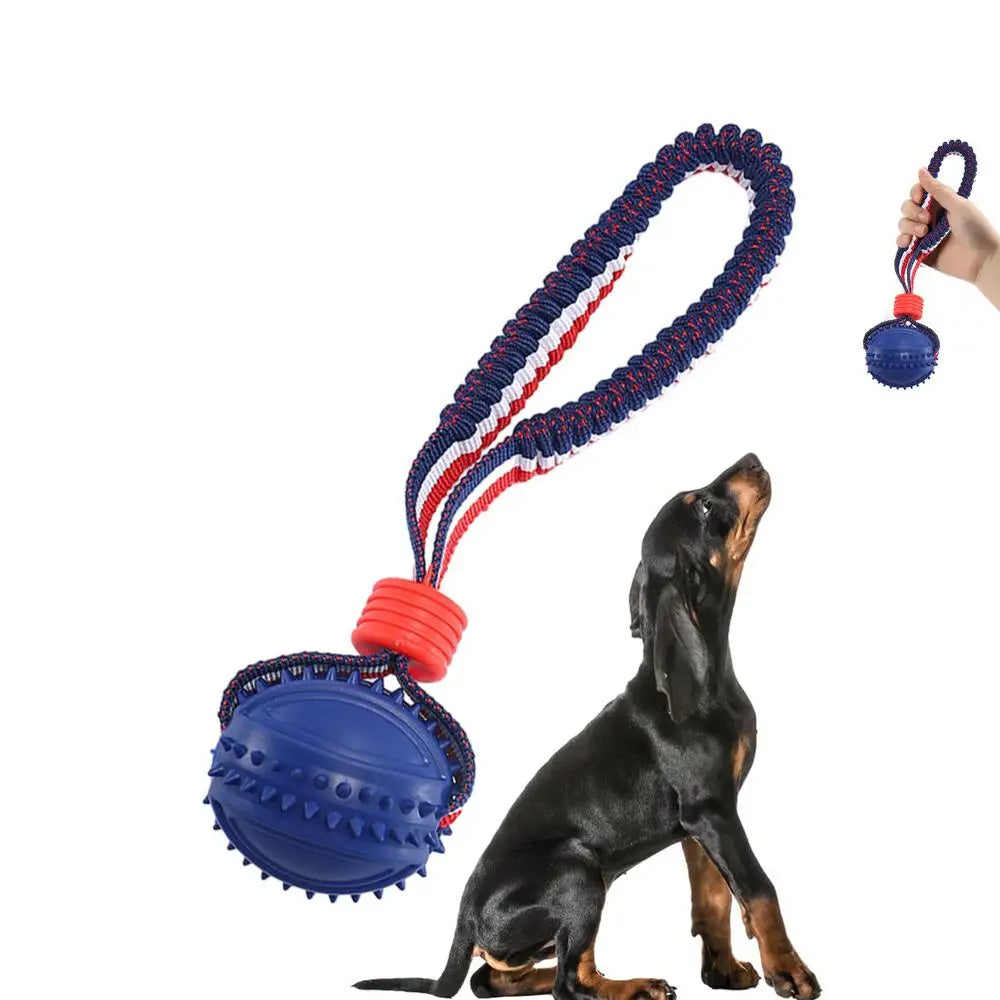 Pet Supplies