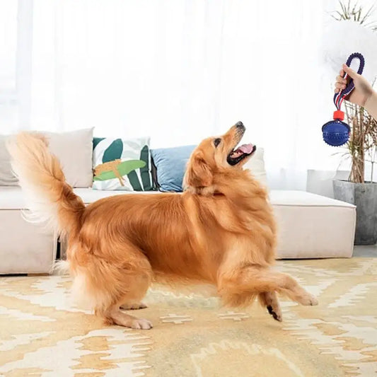 Interactive Dog Toy Ball